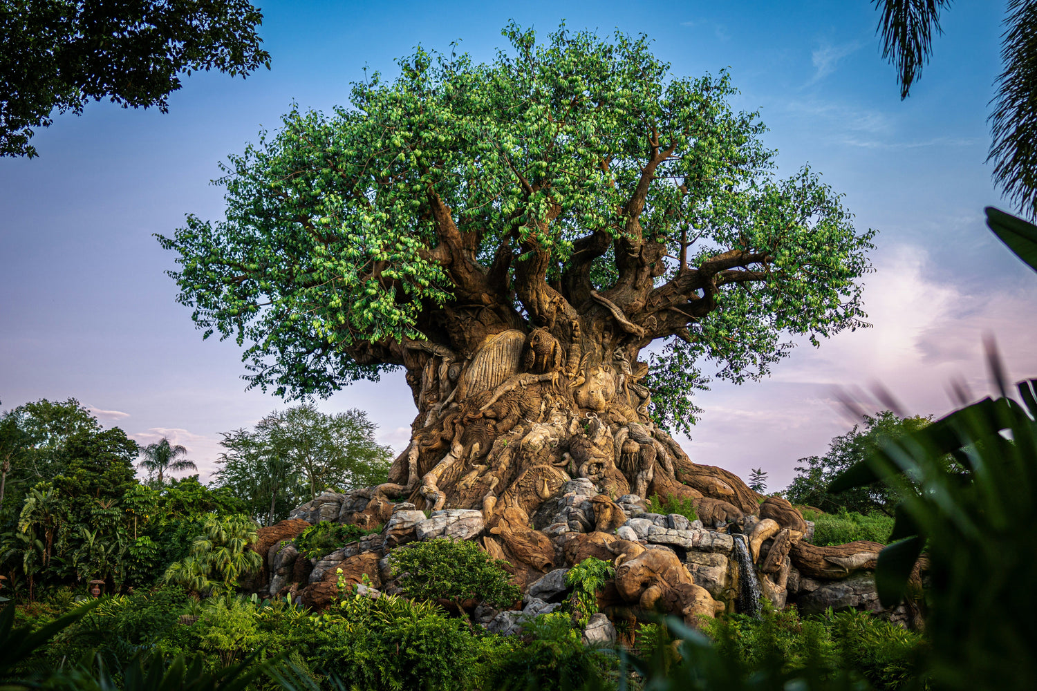 Animal Kingdom